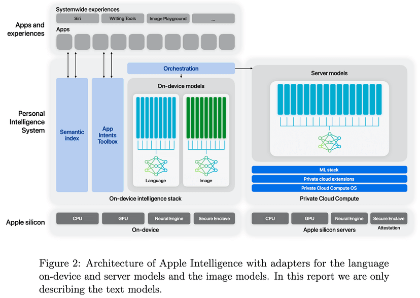 Visualization for Apple Intelligence Foundation Language Models